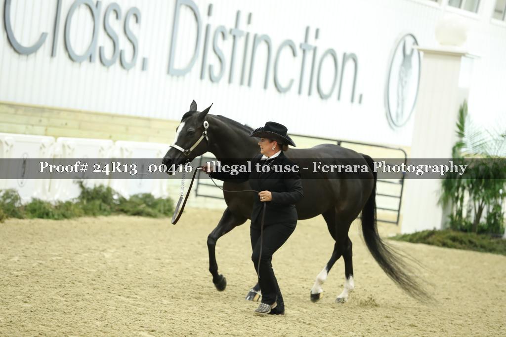 Proof Number 24R13_00416