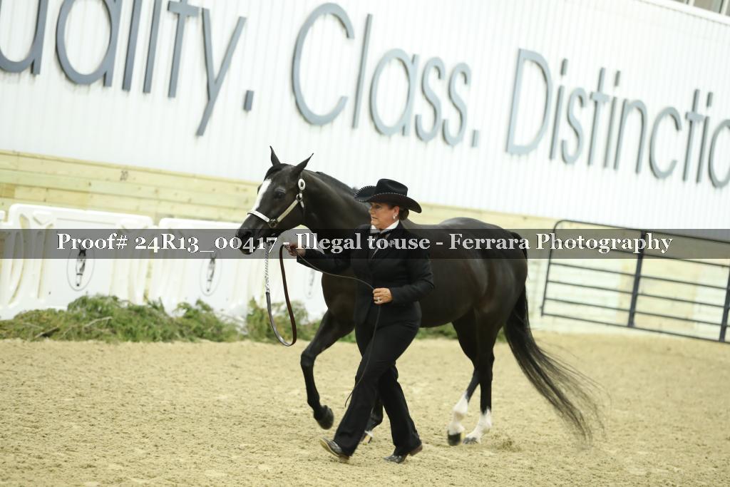 Proof Number 24R13_00417