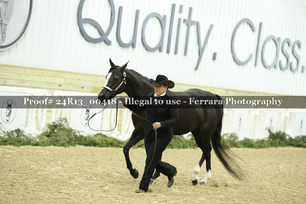 Proof Number 24R13_00418