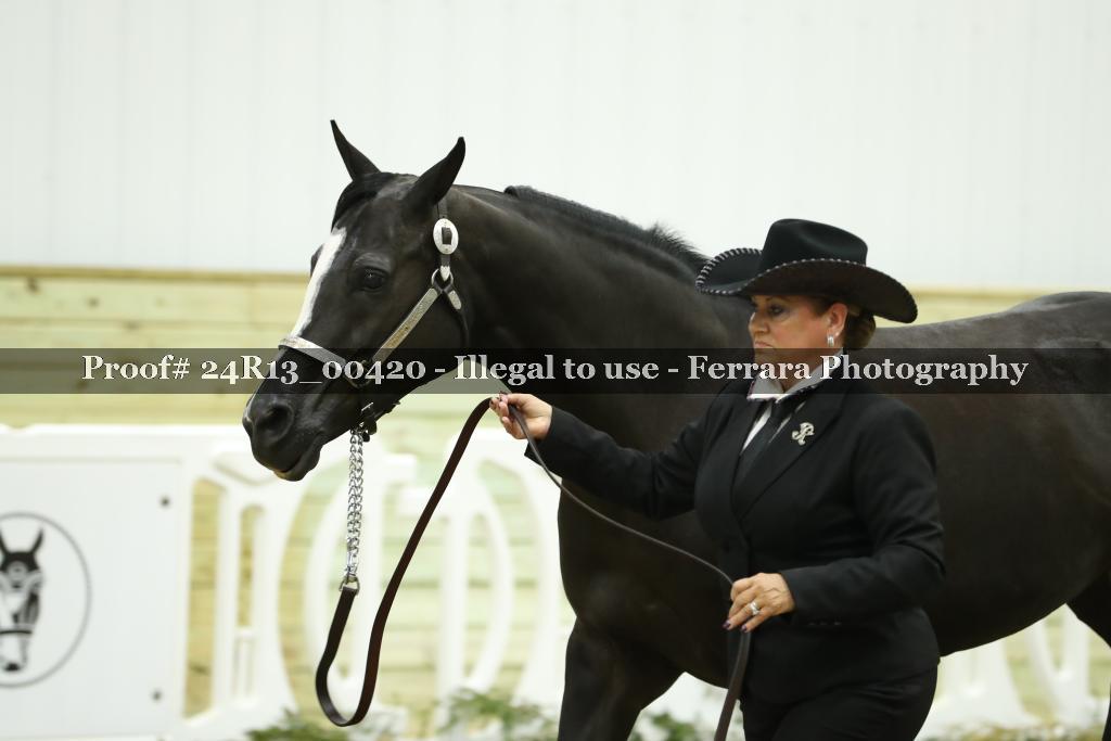 Proof Number 24R13_00420