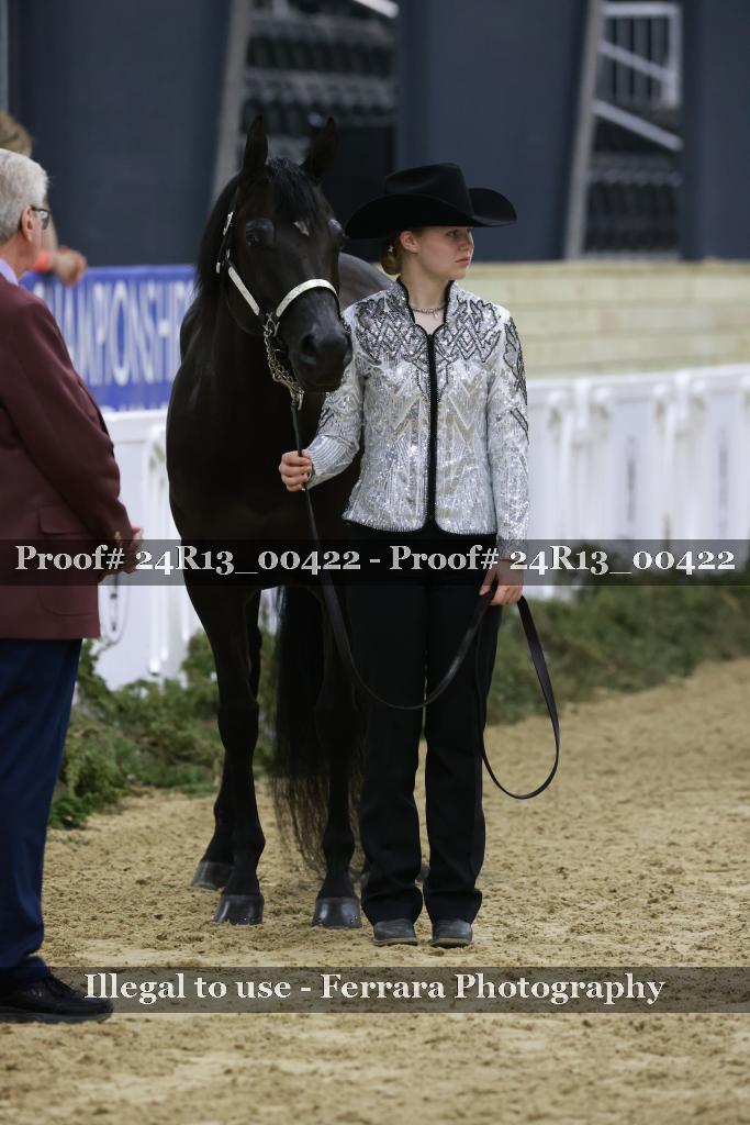 Proof Number 24R13_00422