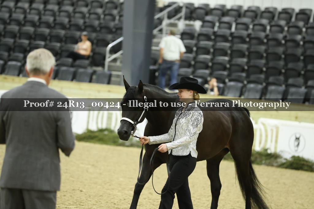 Proof Number 24R13_00424