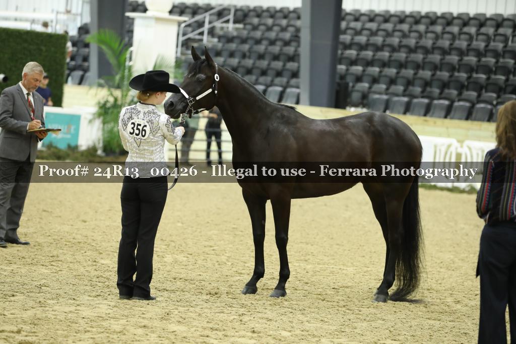 Proof Number 24R13_00426