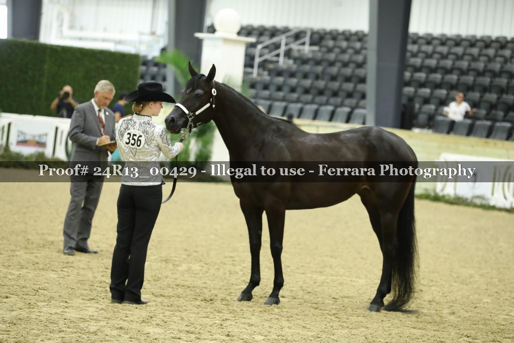 Proof Number 24R13_00429