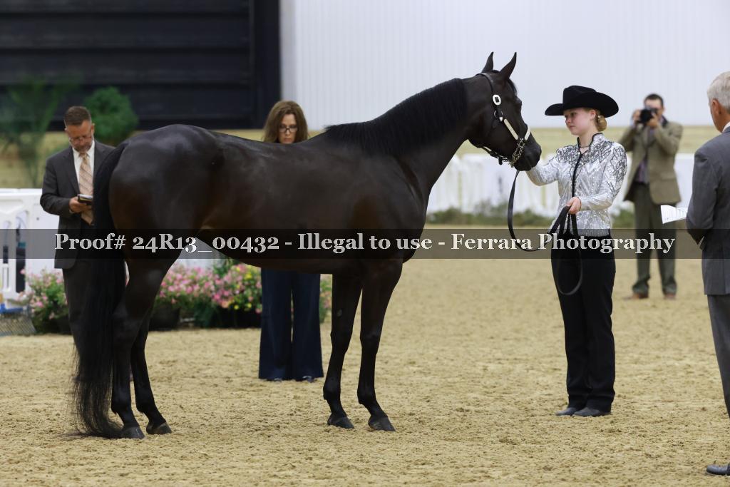 Proof Number 24R13_00432