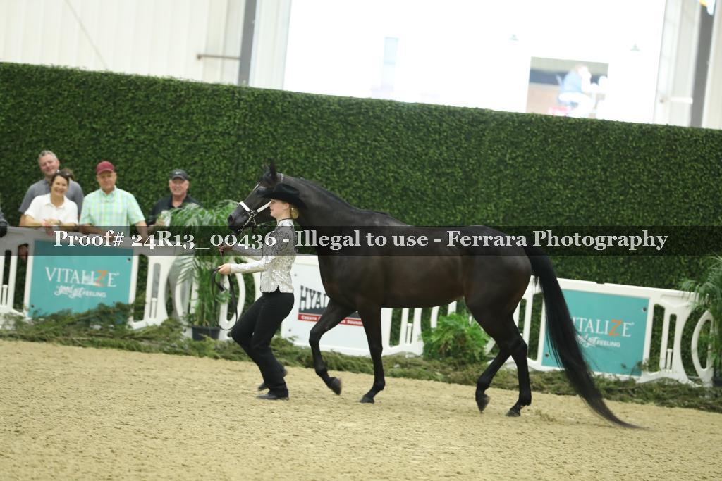 Proof Number 24R13_00436