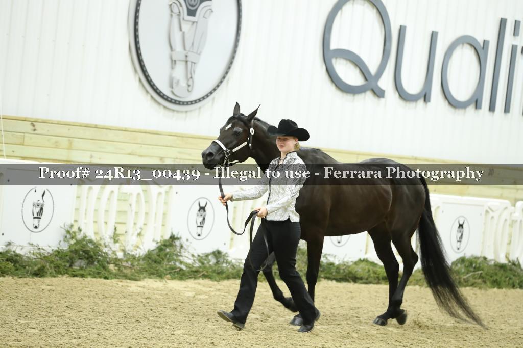 Proof Number 24R13_00439
