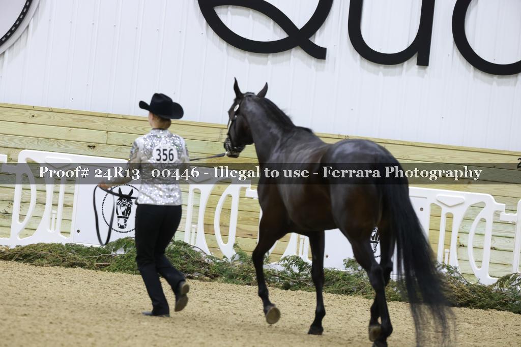 Proof Number 24R13_00446