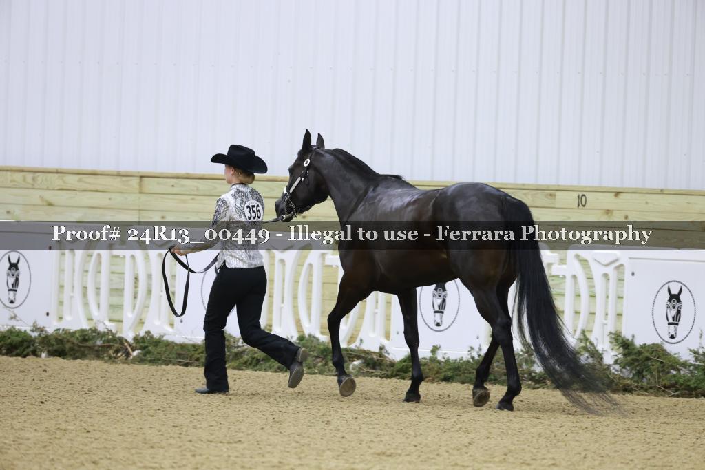 Proof Number 24R13_00449