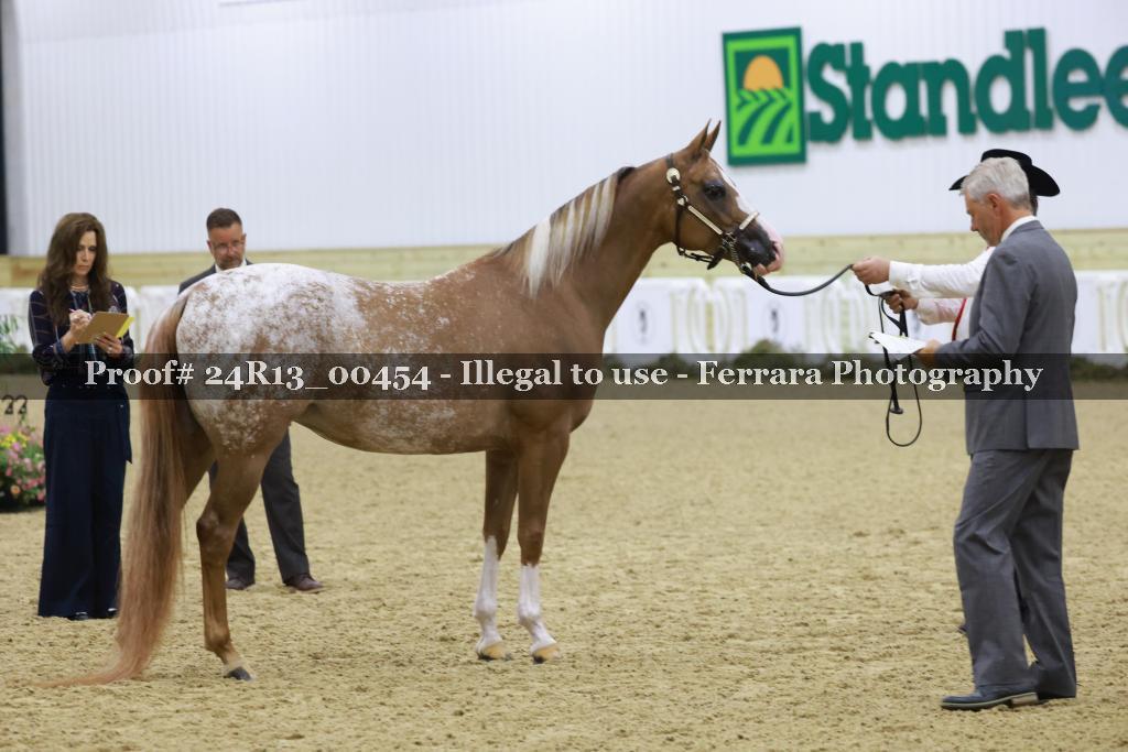 Proof Number 24R13_00454
