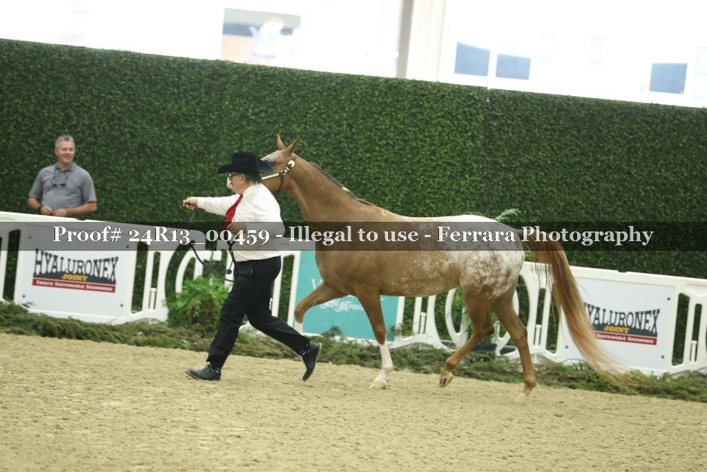 Proof Number 24R13_00459