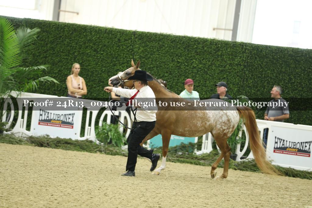 Proof Number 24R13_00460