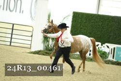 24R13_00461 thumbnail