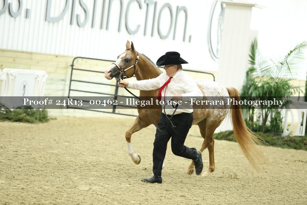 Proof Number 24R13_00462