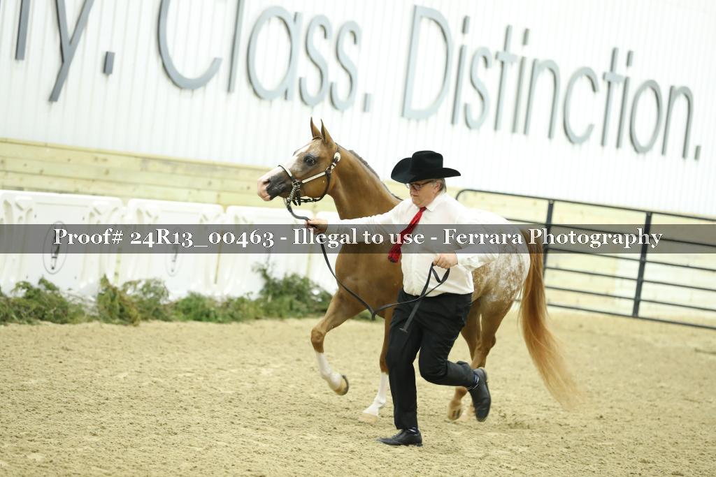 Proof Number 24R13_00463