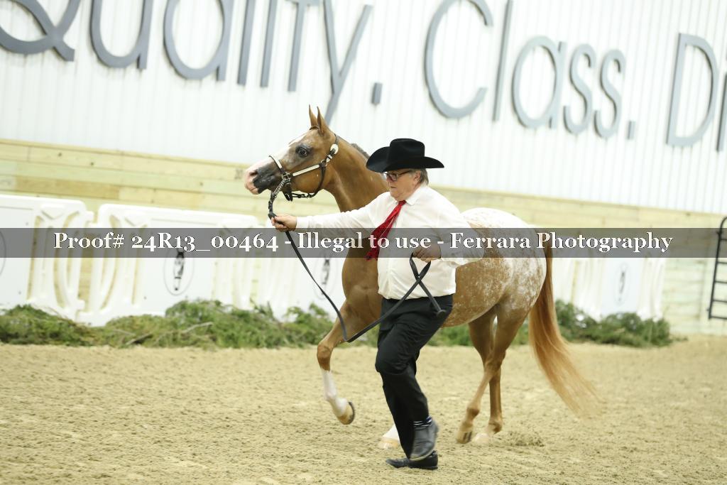 Proof Number 24R13_00464