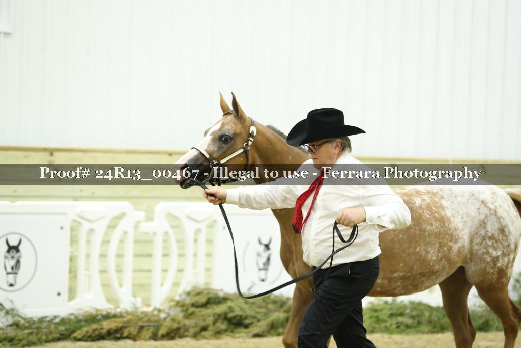 Proof Number 24R13_00467