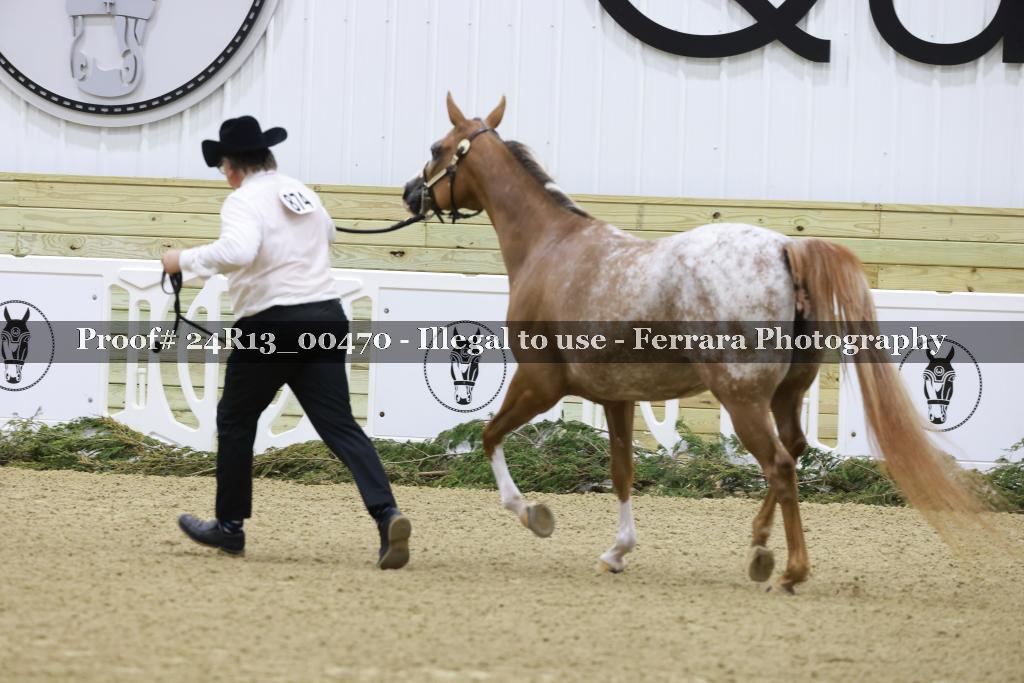 Proof Number 24R13_00470
