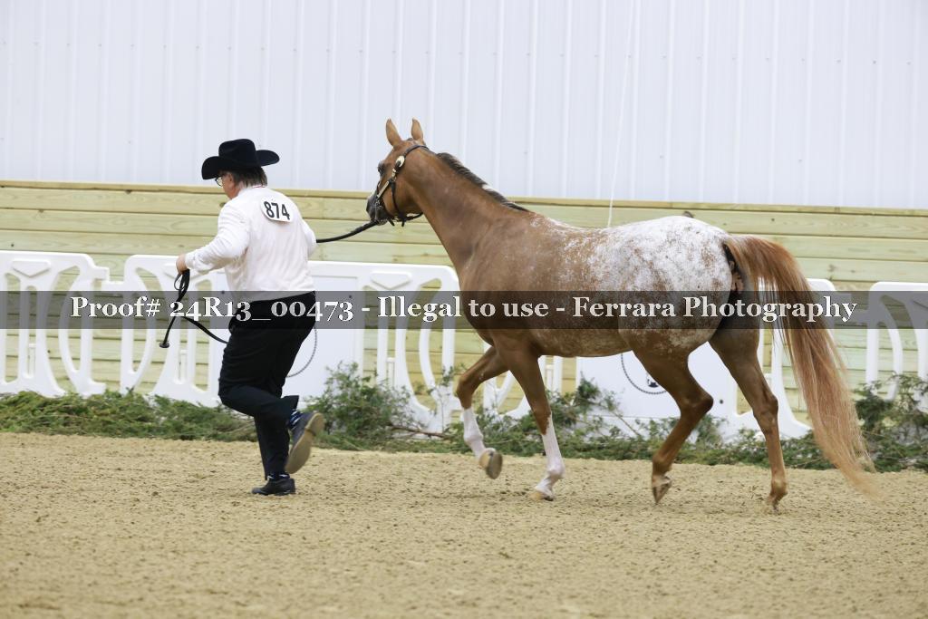 Proof Number 24R13_00473