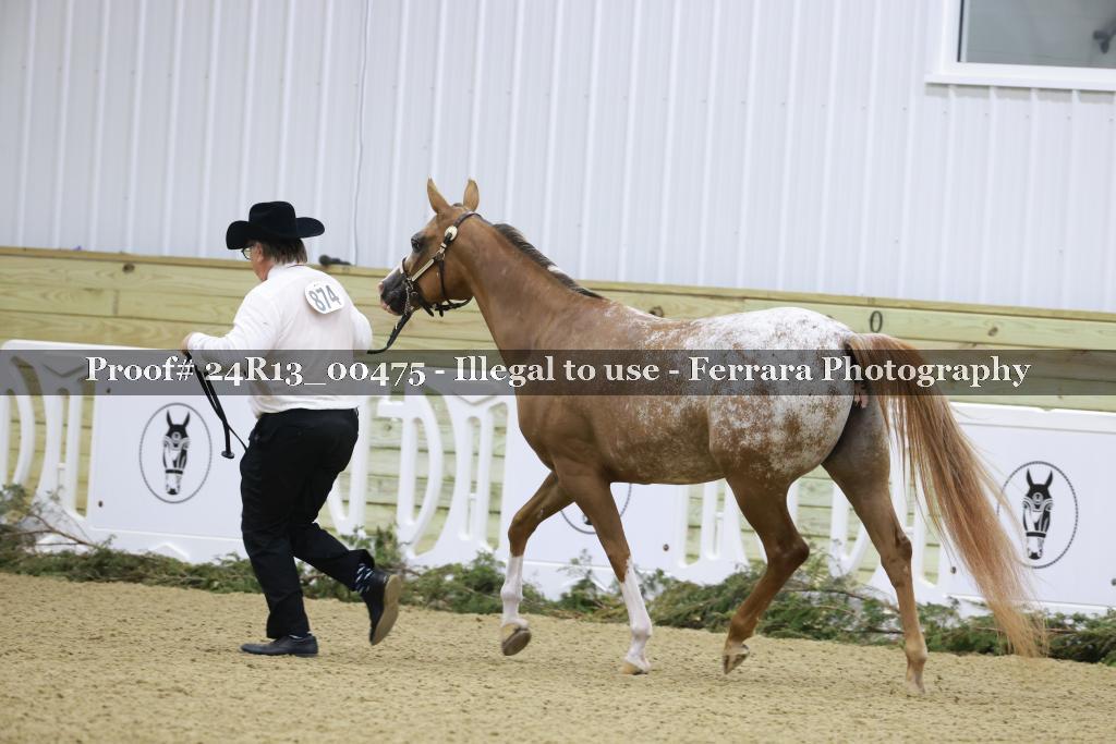 Proof Number 24R13_00475