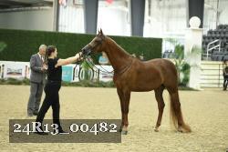 24R13_00482 thumbnail