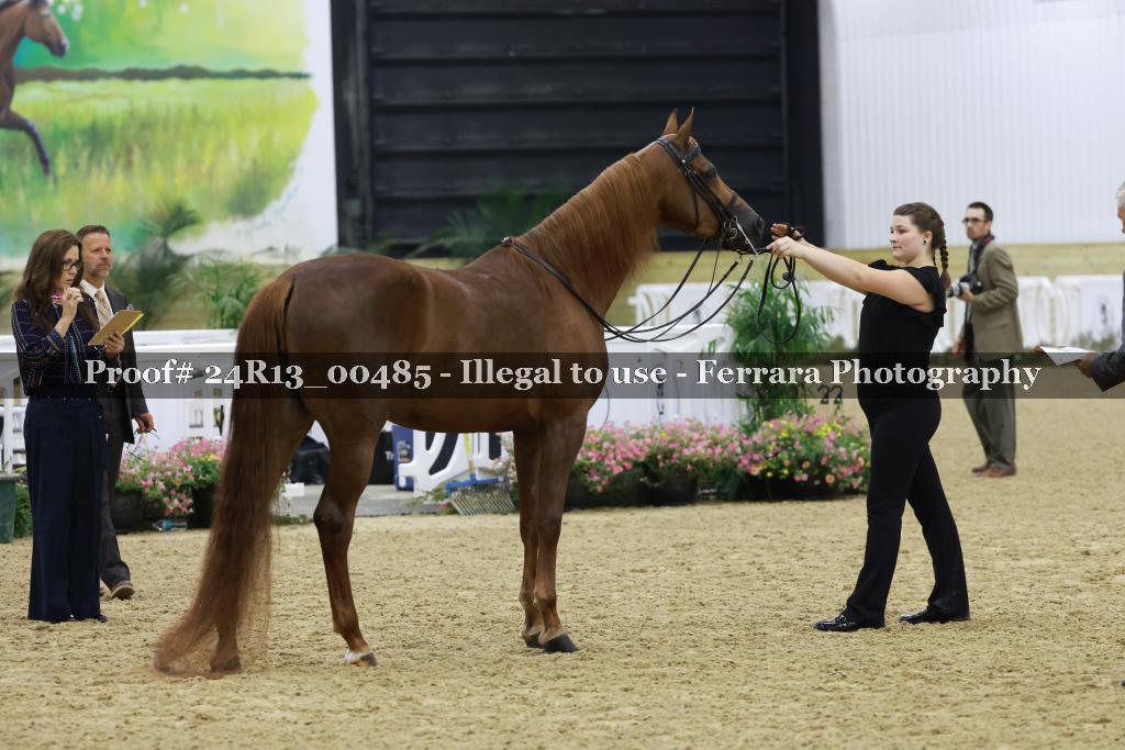 Proof Number 24R13_00485