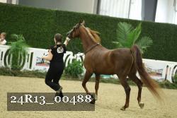 24R13_00488 thumbnail