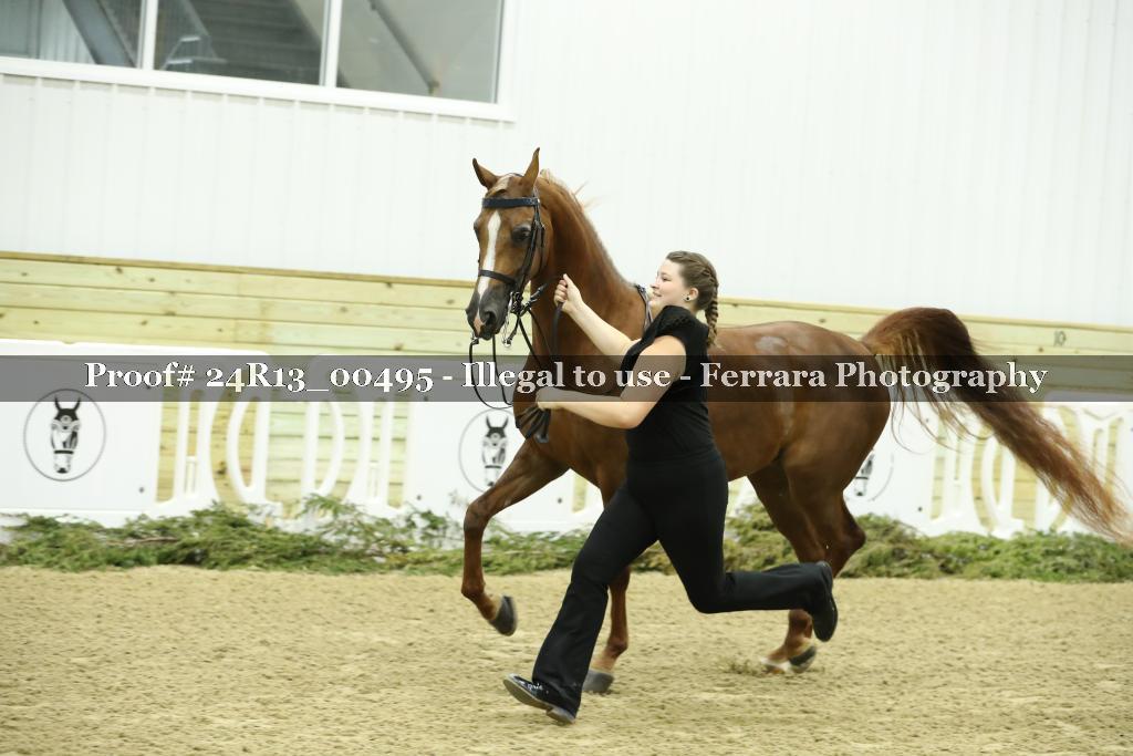 Proof Number 24R13_00495