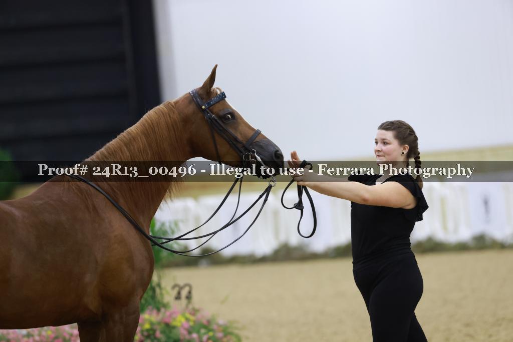 Proof Number 24R13_00496