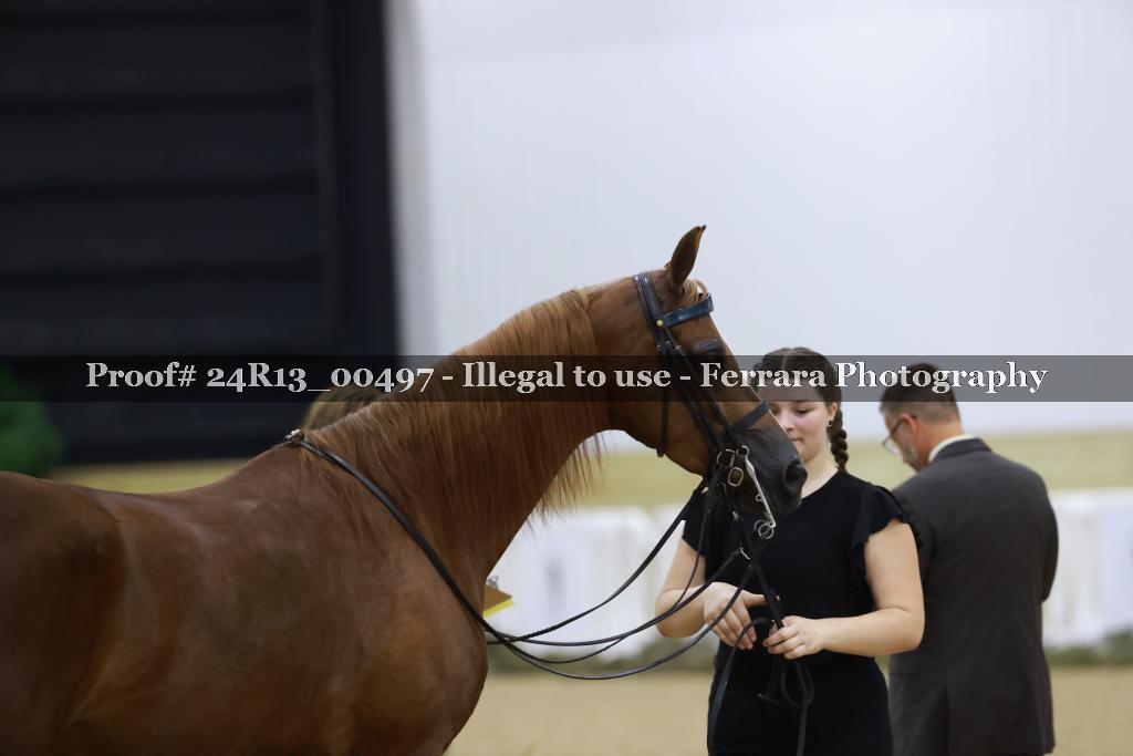 Proof Number 24R13_00497