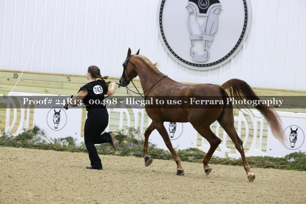 Proof Number 24R13_00498