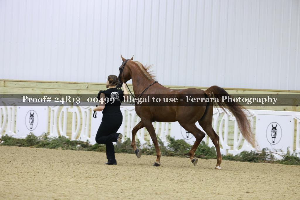 Proof Number 24R13_00499