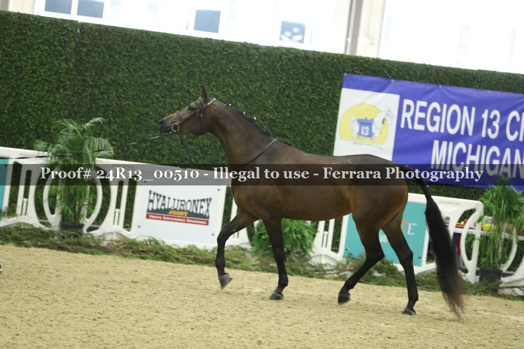 Proof Number 24R13_00510