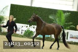 24R13_00512 thumbnail