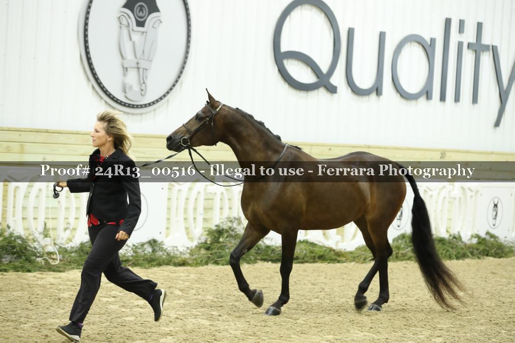 Proof Number 24R13_00516