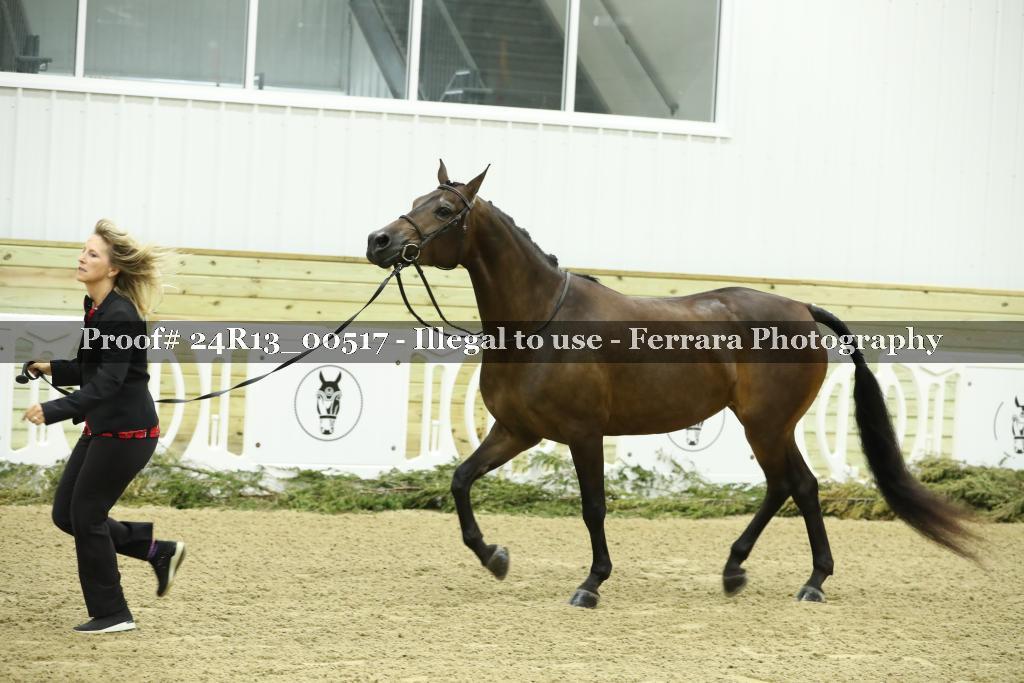 Proof Number 24R13_00517