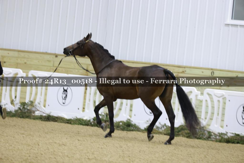 Proof Number 24R13_00518