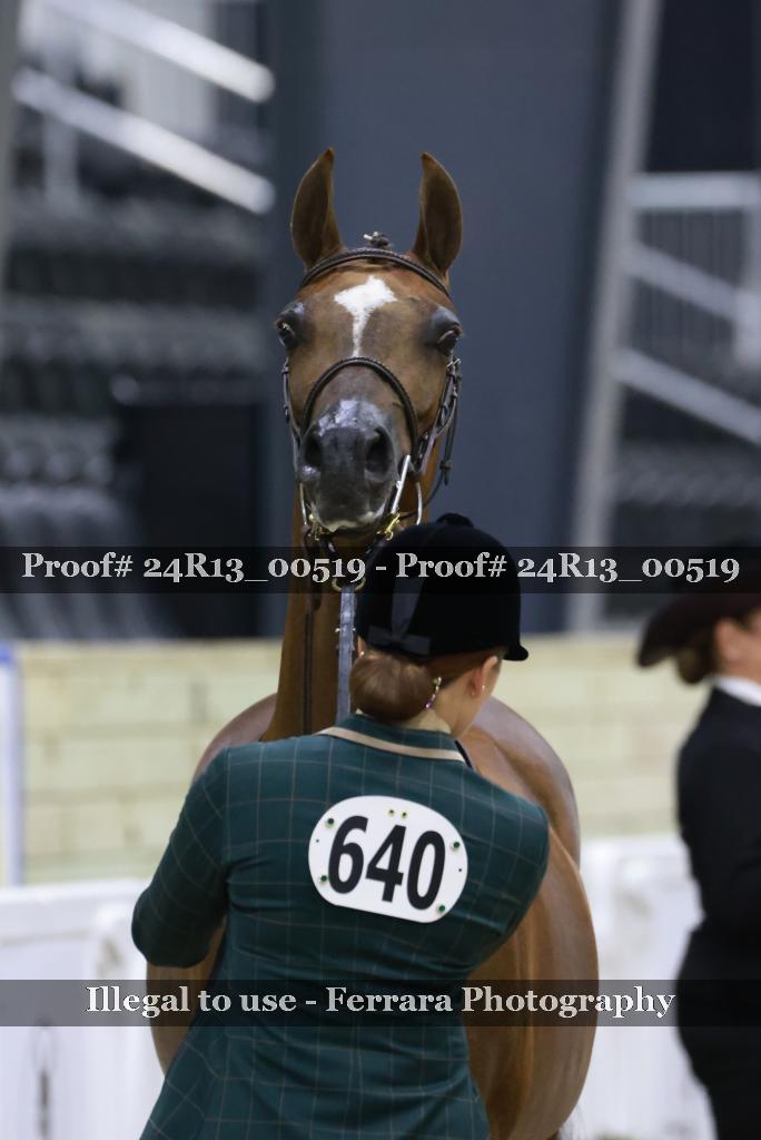 Proof Number 24R13_00519