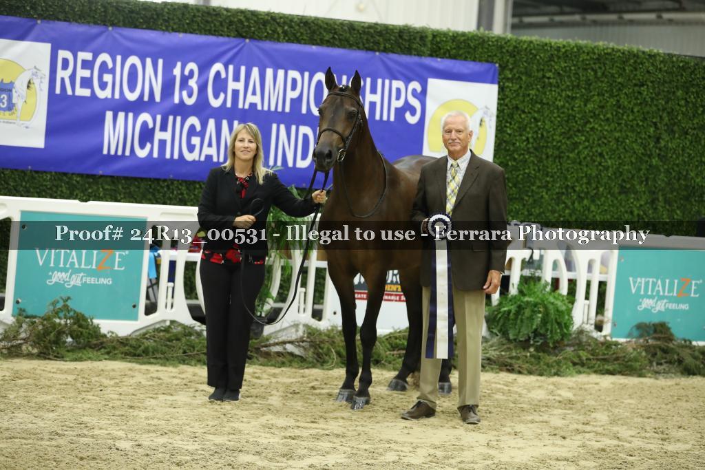 Proof Number 24R13_00531
