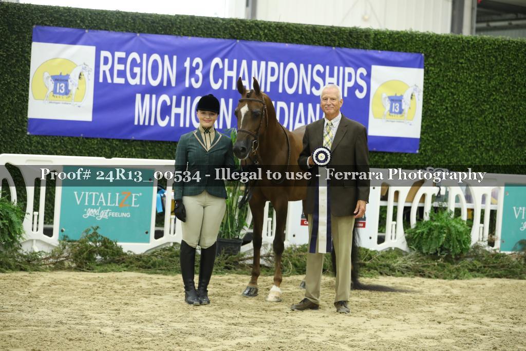 Proof Number 24R13_00534