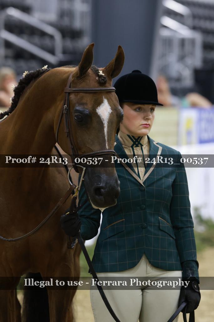 Proof Number 24R13_00537