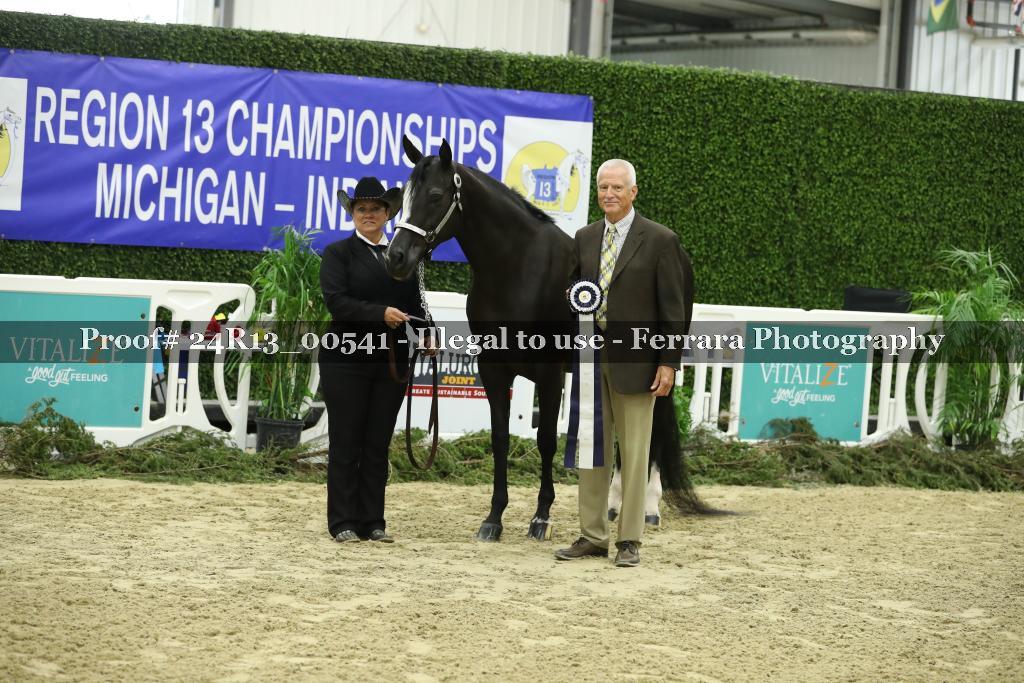 Proof Number 24R13_00541