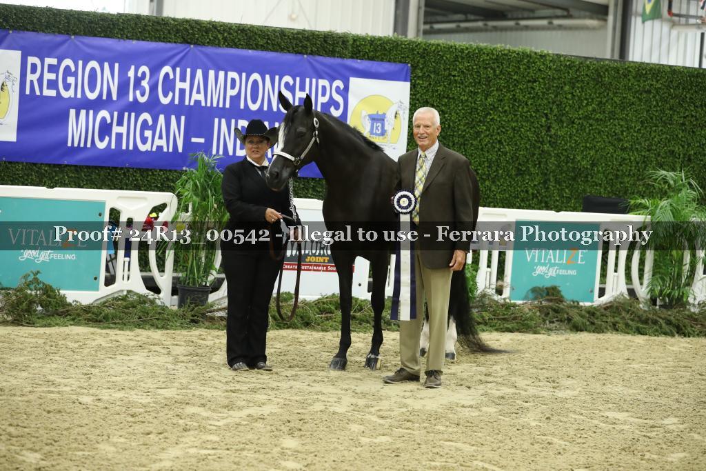 Proof Number 24R13_00542
