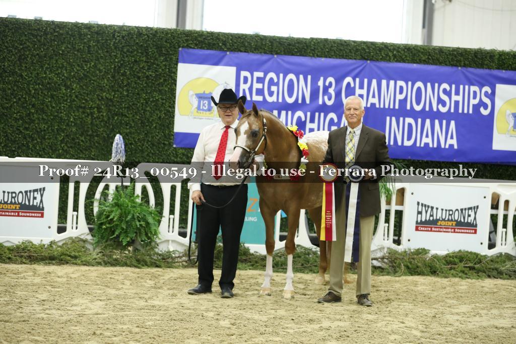 Proof Number 24R13_00549
