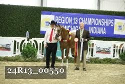 24R13_00550 thumbnail