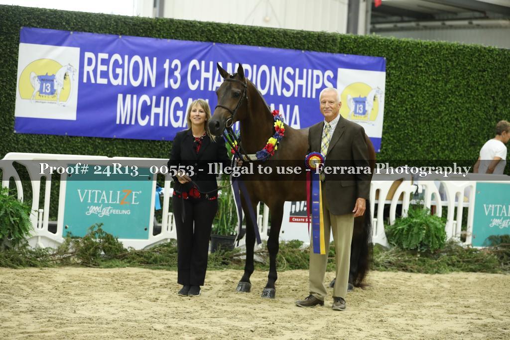 Proof Number 24R13_00553