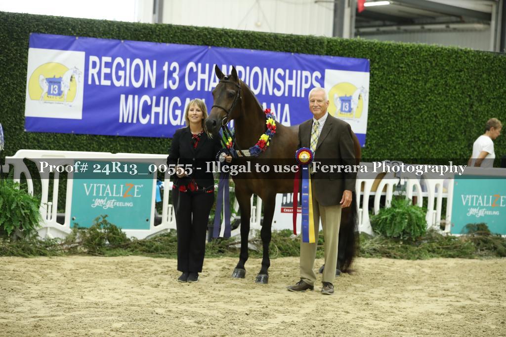 Proof Number 24R13_00555