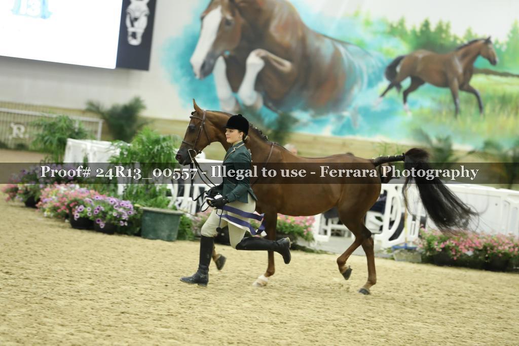 Proof Number 24R13_00557