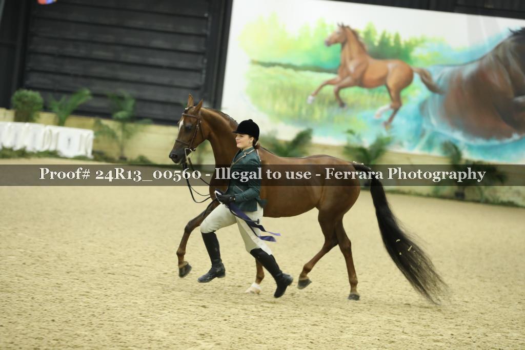 Proof Number 24R13_00560