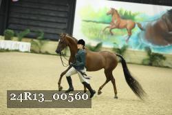 24R13_00560 thumbnail